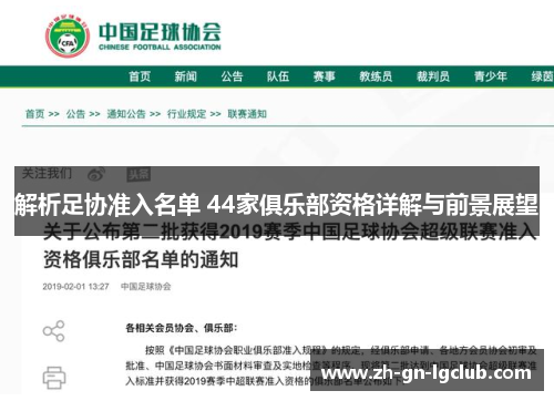 解析足协准入名单 44家俱乐部资格详解与前景展望 解析足协准入名单 44家俱乐部资格详解与前景展望