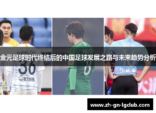 金元足球时代终结后的中国足球发展之路与未来趋势分析 金元足球时代终结后的中国足球发展之路与未来趋势分析