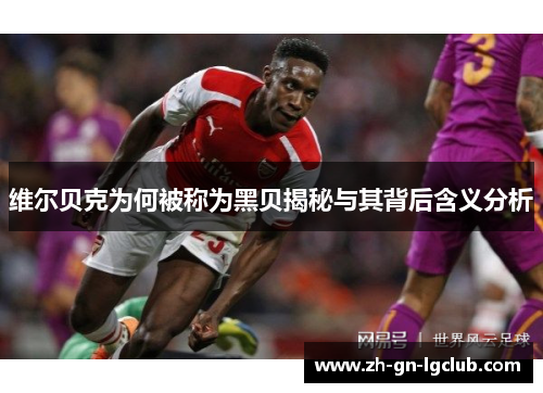 维尔贝克为何被称为黑贝揭秘与其背后含义分析