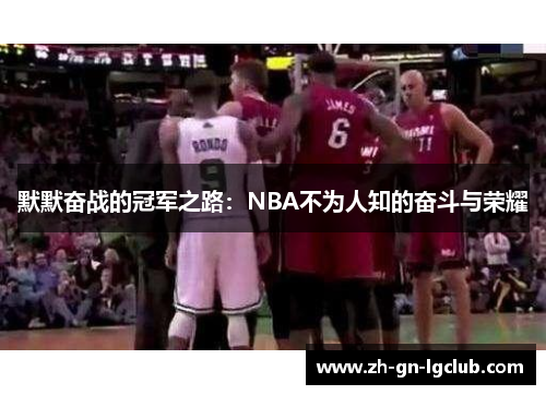 默默奋战的冠军之路：NBA不为人知的奋斗与荣耀
