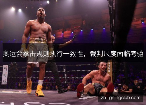 奥运会拳击规则执行一致性,裁判尺度面临考验 奥运会拳击规则执行一致性,裁判尺度面临考验